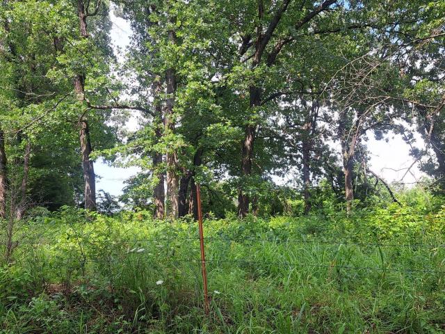 Land for sale in Granby, Missouri