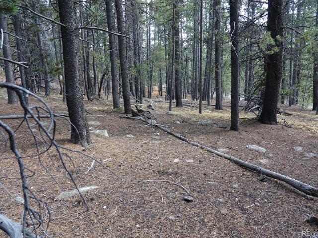 Land for sale in Clear Creek, Colorado