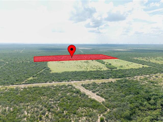 Land for sale in Roma, Texas