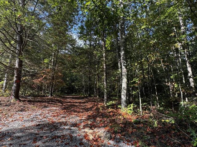 Land for sale in Allardt Subdivision, Allardt