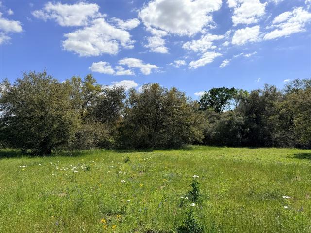 Land for sale in Altair, Texas