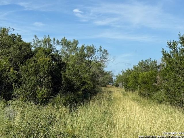 Farm for sale in La Salle, Texas
