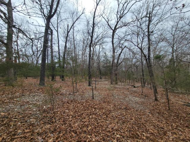 Land for sale in Theodosia, Missouri