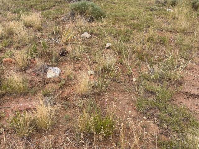 Land for sale in Walsenburg, Colorado