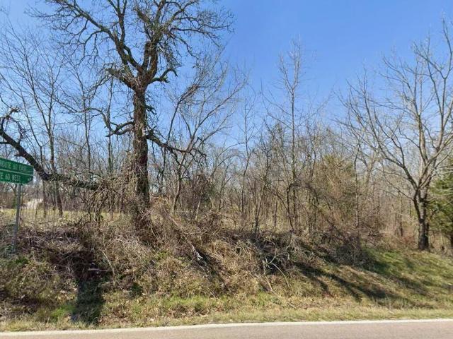 Land for sale in Fordland, Missouri