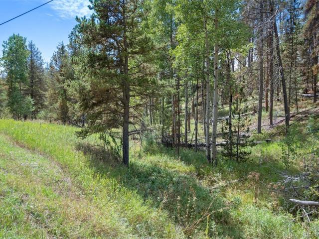 Land for sale in Conifer, Jefferson County