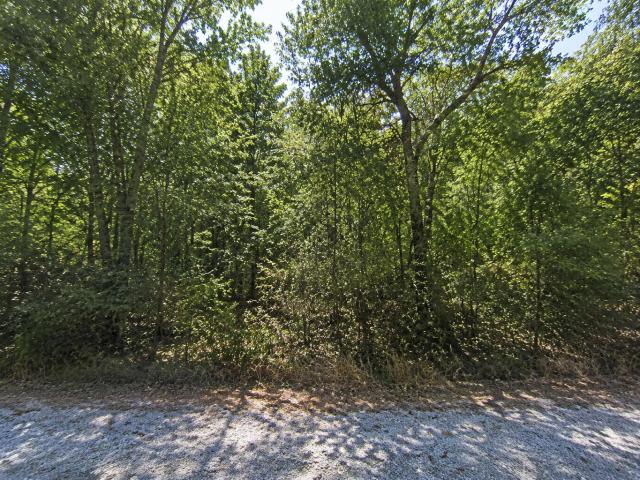 Land for sale in Emerald Beach, Barry County