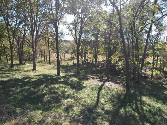 Land for sale in Golconda, Illinois