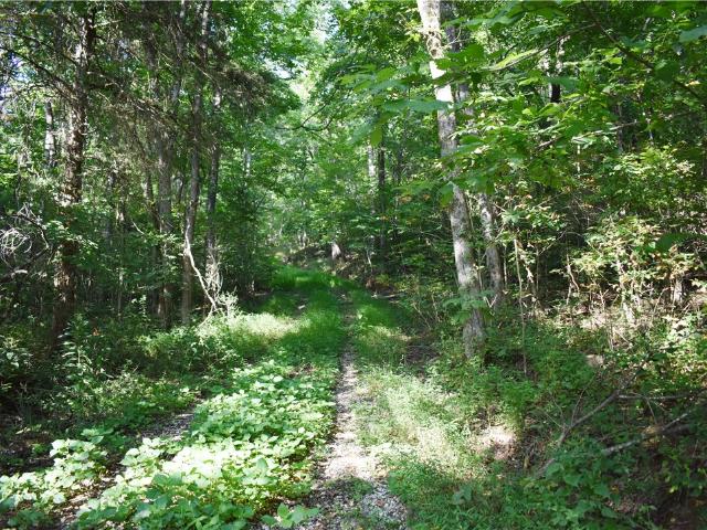 Land for sale in Ark