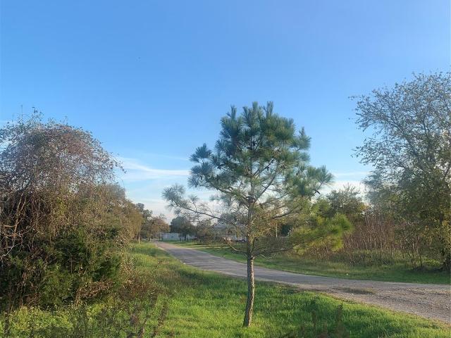 Land for sale in Rosanky, Texas
