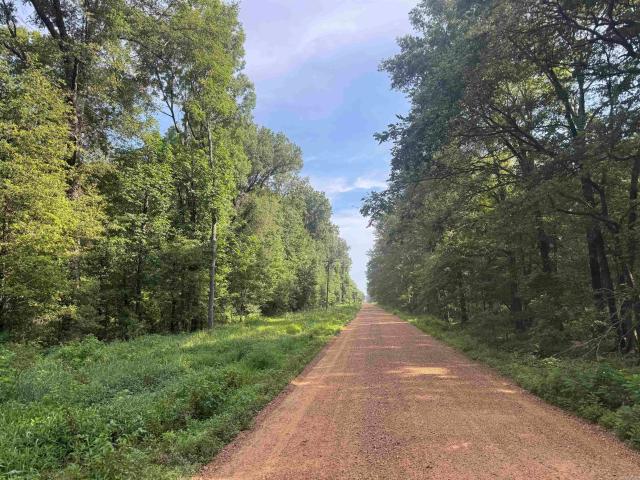Land for sale in Waldenburg