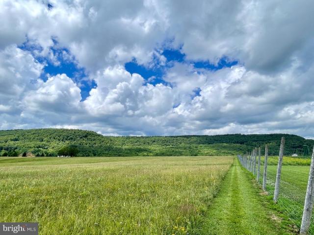 Land for sale in Davis, West Virginia