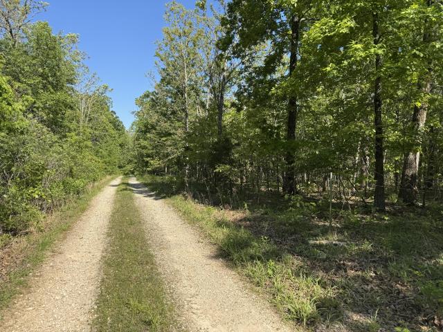 Land for sale in Niangua, Missouri