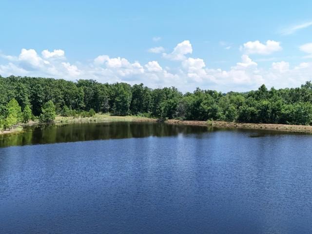 Land for sale in Dixon, Missouri