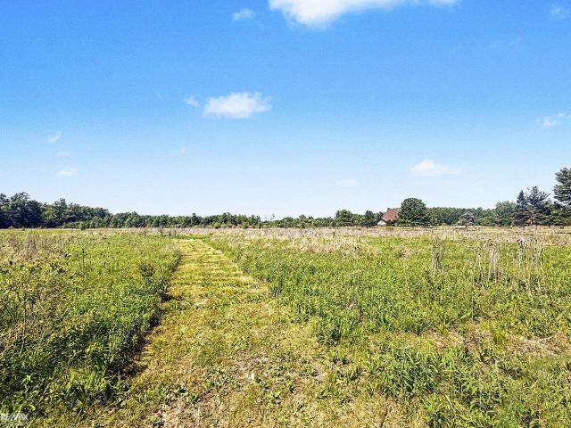 Land for sale in Casco, Michigan