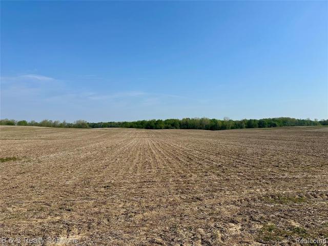 Land for sale in Tuscola, Michigan
