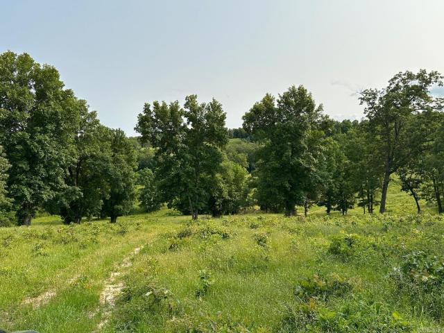 Land for sale in Ark