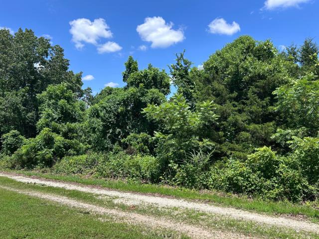 Land for sale in Stone, Missouri