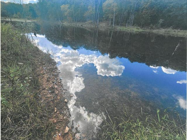 Land for sale in Laclede, Missouri