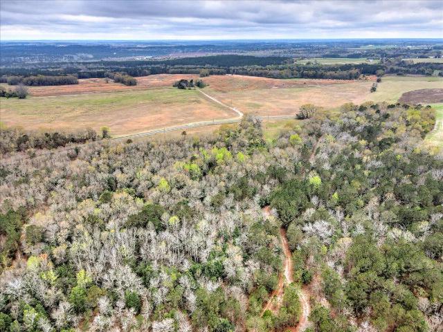 Land for sale in Johnston, South Carolina