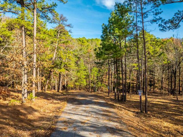 Land for sale in Quitman, Cleburne County