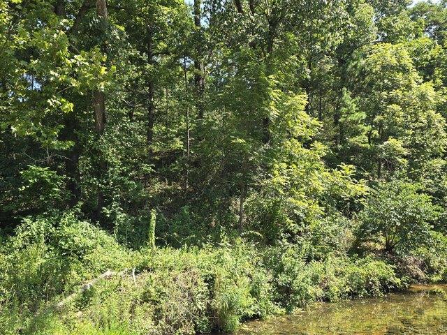 Land for sale in Houston, Texas County