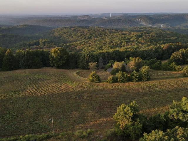 Land for sale in Walnut Shade, Taney County