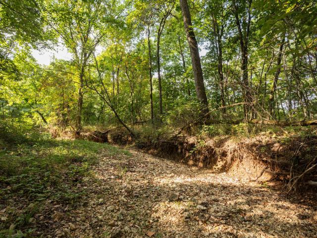 Land for sale in Stone, Missouri