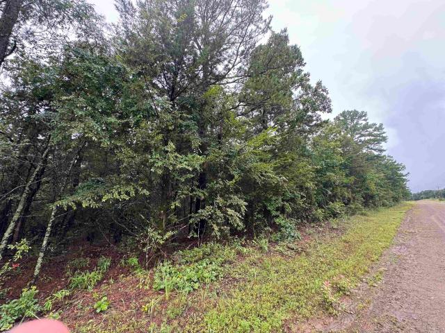 Land for sale in Ark
