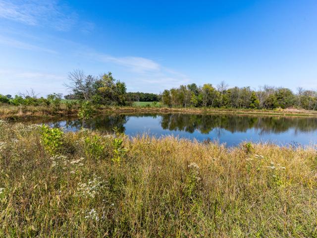 Land for sale in Fair Grove, Missouri