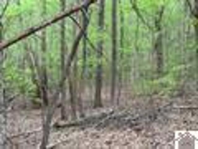 Land for sale in Eddyville, Kentucky