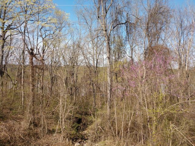 Land for sale in Ark