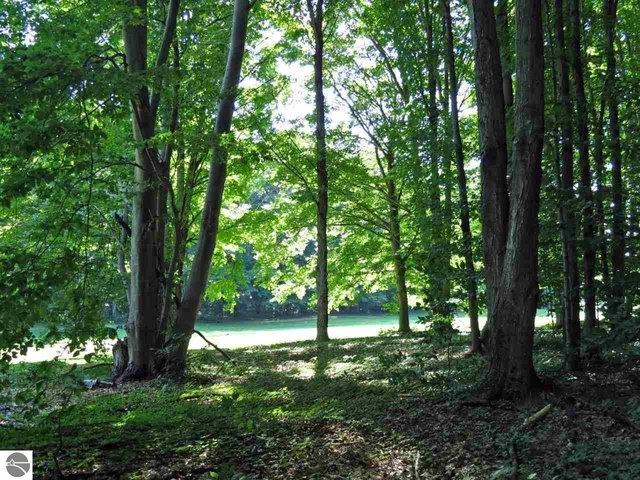 Land for sale in Thompsonville, Michigan