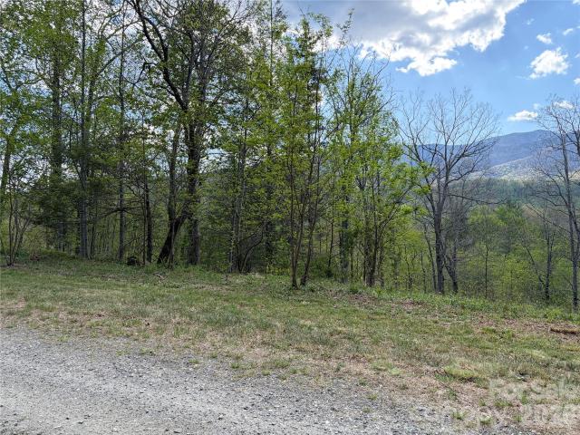 Land for sale in Busick, Burnsville