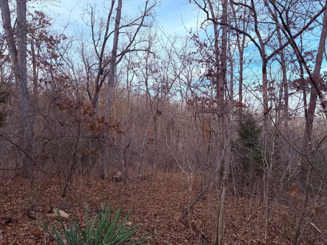 Land for sale in Greenfield, Missouri