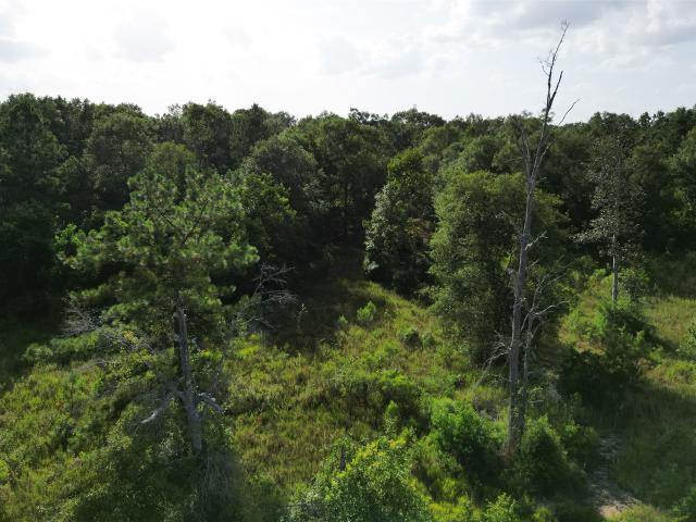 Land for sale in Kountze, Texas