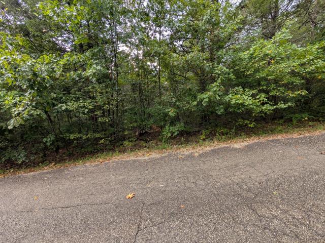 Land for sale in Stone, Missouri