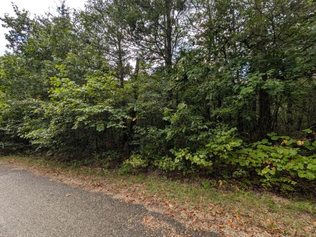 Land for sale in Stone, Missouri