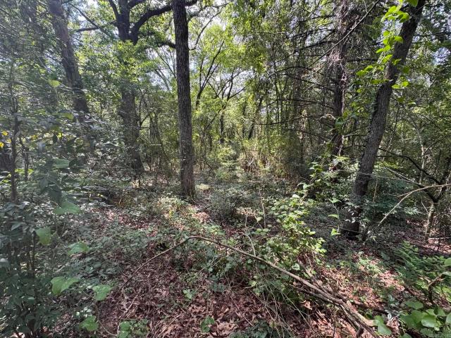 Land for sale in Ark