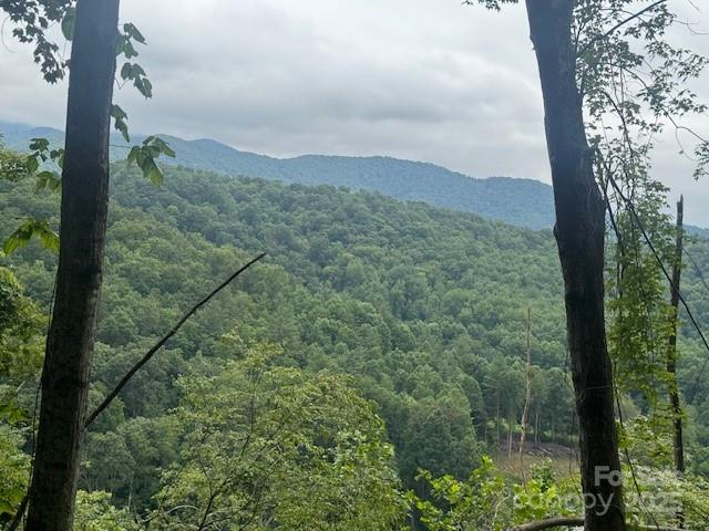 Land for sale in Yancey, North Carolina