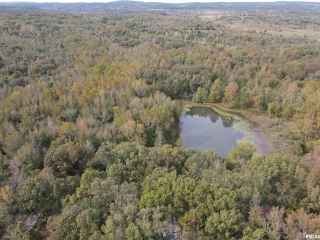 Land for sale in Gallatin, Illinois