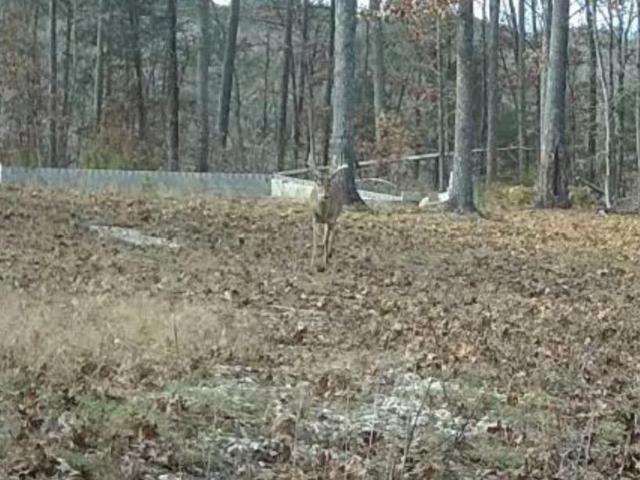 Land for sale in Missouri