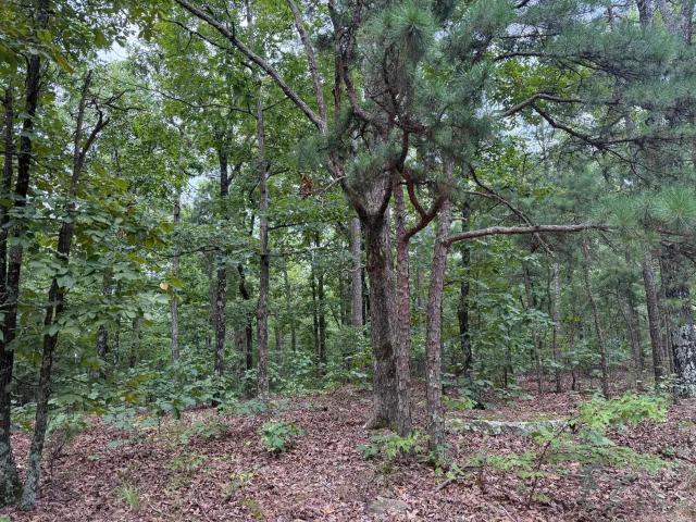 Land for sale in Ark