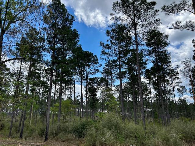 Land for sale in Alto, Texas