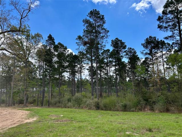 Land for sale in Alto, Texas