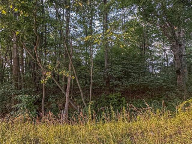 Farm for sale in Chalk Hill, Pennsylvania