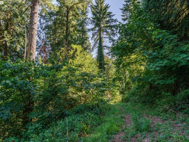Land for sale in La Center