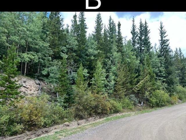 Land for sale in Idaho Springs, Clear Creek County