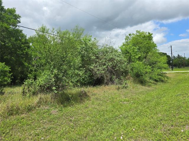 Land for sale in San Felipe, Texas