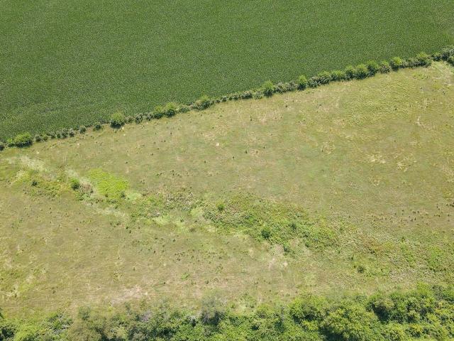 Farm for sale in Rome, Henry County